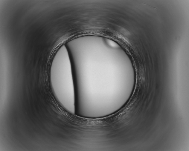 X0000087311354200704200709