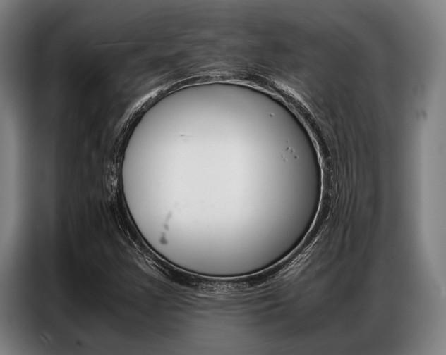 X0000087311355200704200709