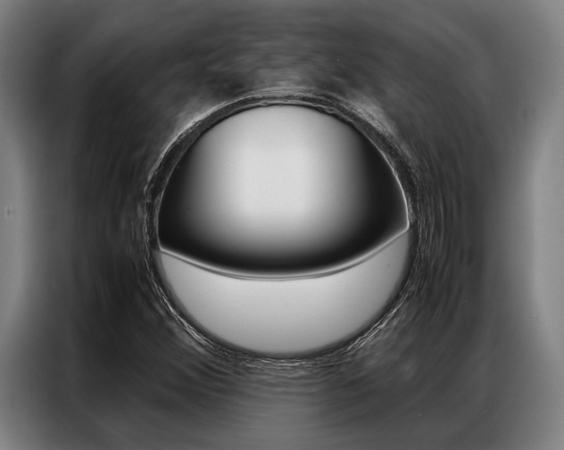 X0000087311356200704200709