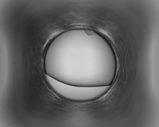 X0000087311357200704200709