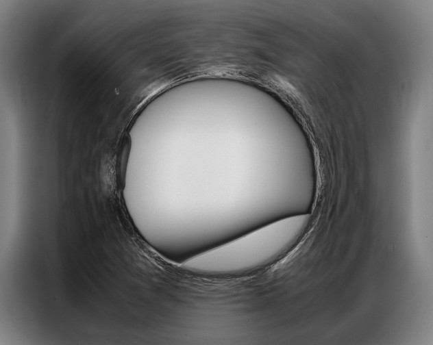 X0000087311361200704200709