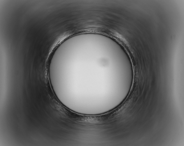 X0000087311362200704200709