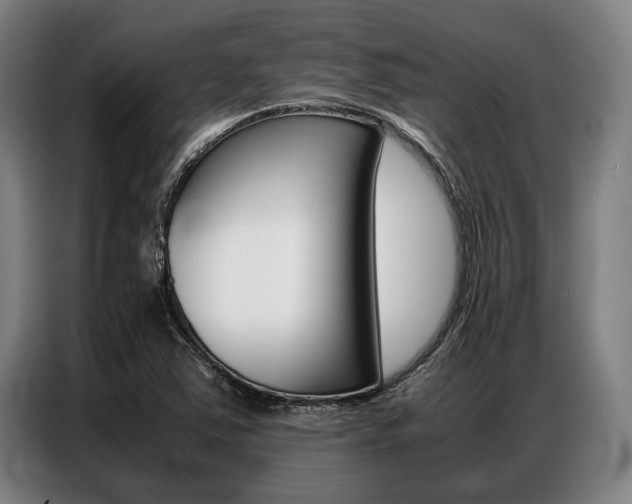 X0000087311363200704200709