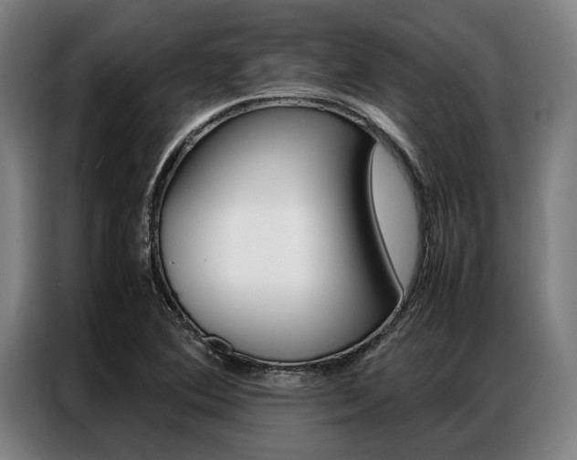X0000087311364200704200709