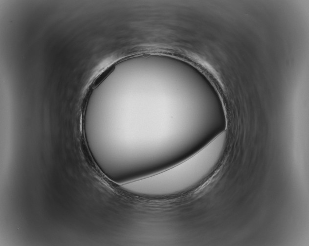 X0000087311365200704200709