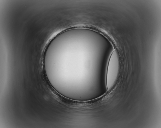 X0000087311367200704200709