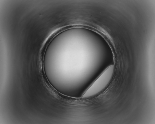 X0000087311368200704200709