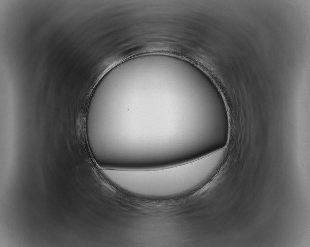 X0000087311369200704200709