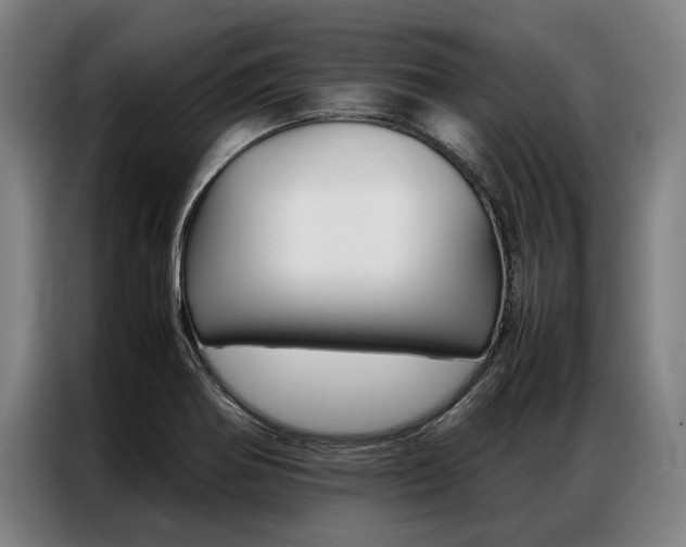 X0000087311370200704200709