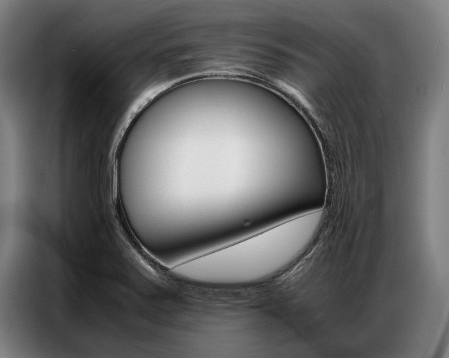 X0000087311371200704200709