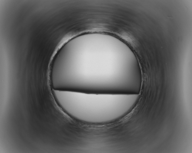 X0000087311374200704200709