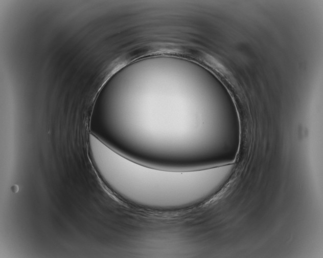 X0000087311377200704200709