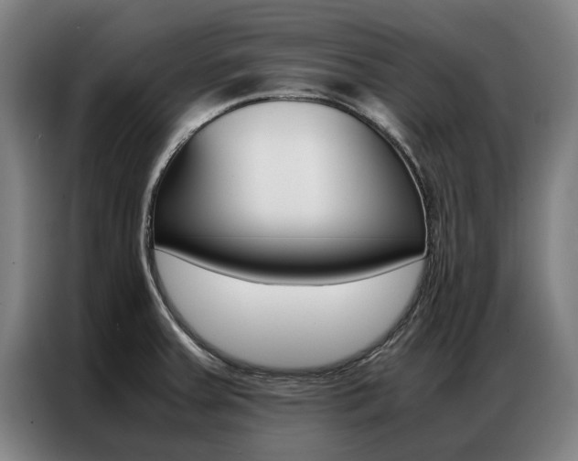 X0000087311379200704200709