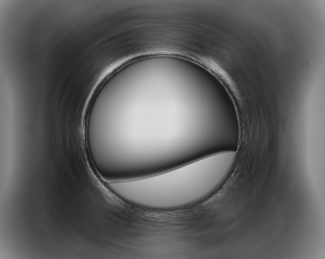 X0000087311380200704200709