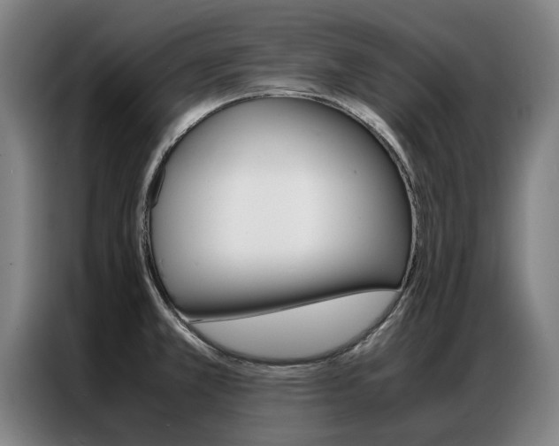 X0000087311381200704200709