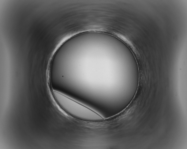 X0000087311383200704200709