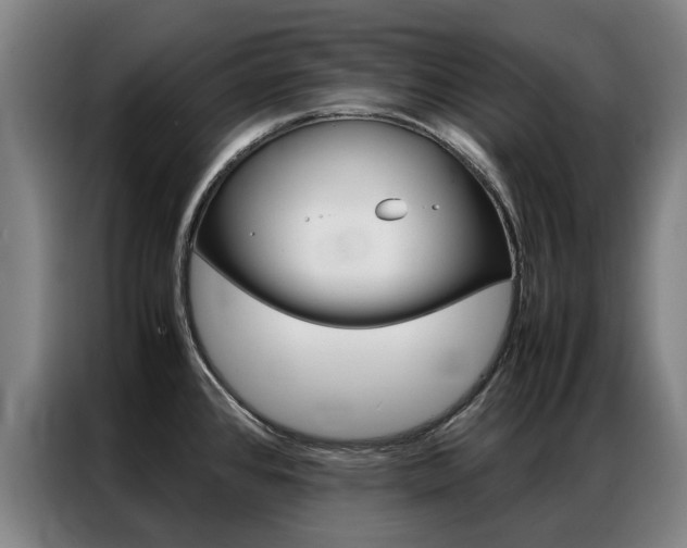 X0000087311384200704200709