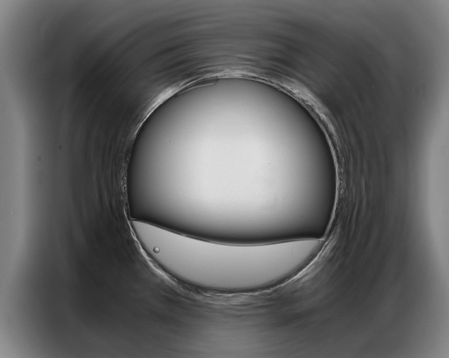 X0000087311385200704200709