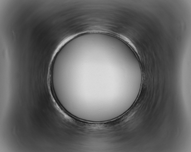 X0000087311387200704200709