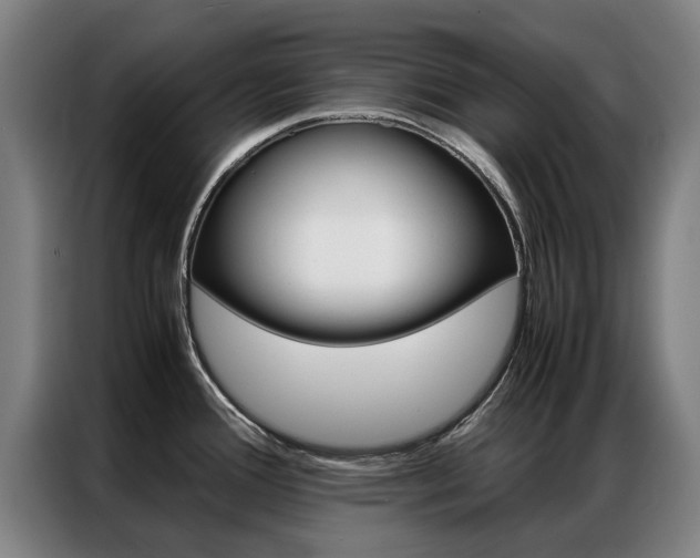 X0000087311388200704200709