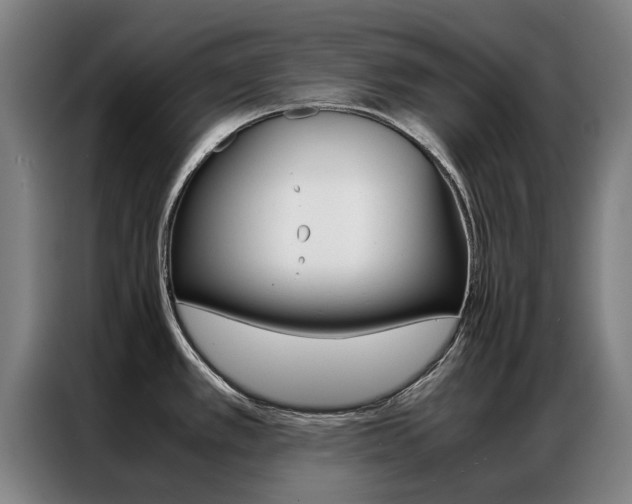 X0000087311389200704200709