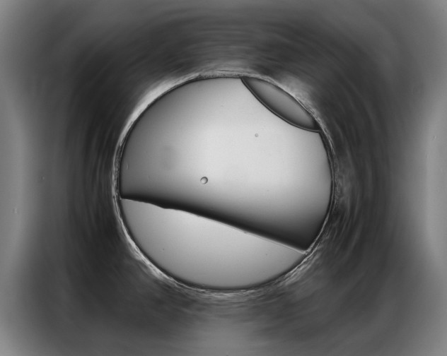 X0000087311390200704200709