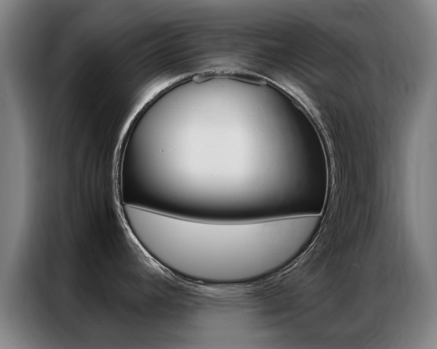 X0000087311392200704200709