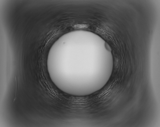 X0000087311393200704200708