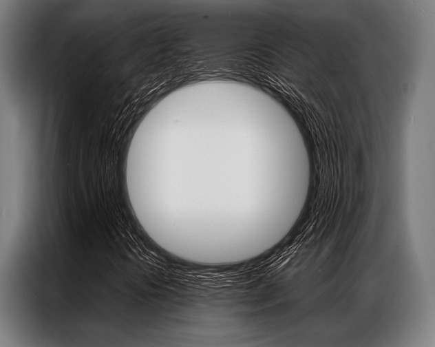 X0000087311394200704200708