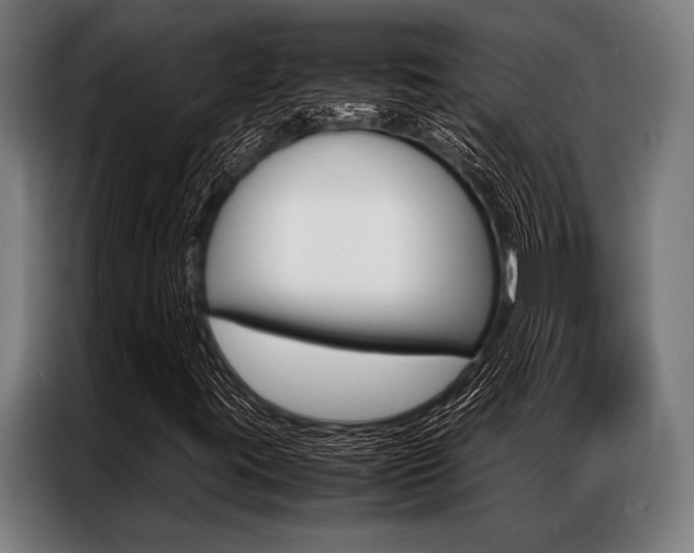 X0000087311395200704200708