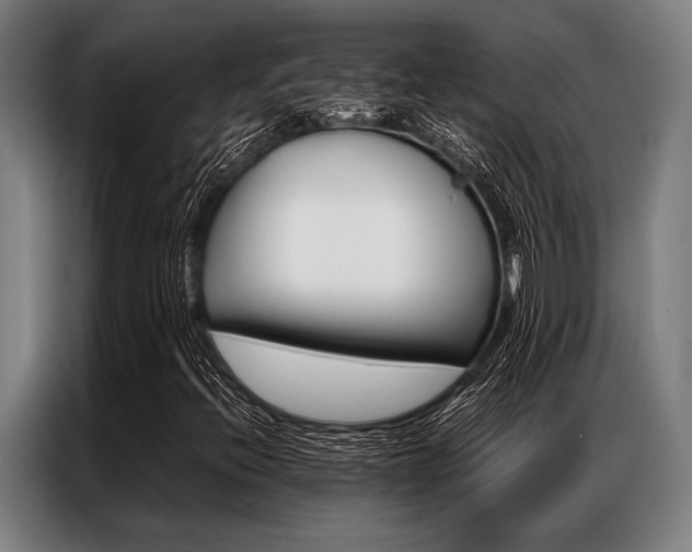 X0000087311396200704200708