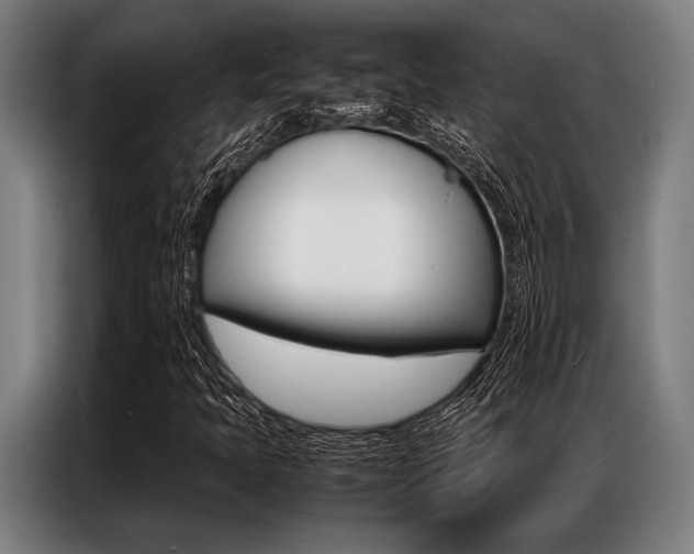 X0000087311397200704200708