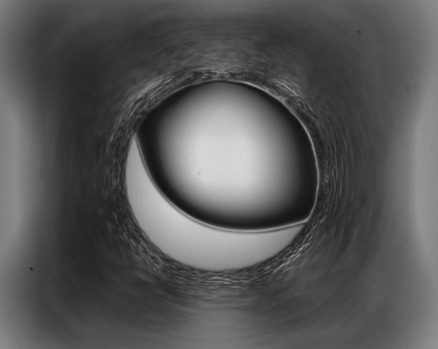 X0000087311398200704200708