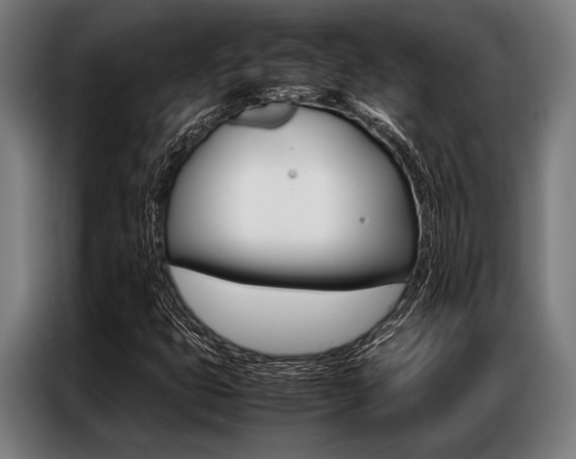 X0000087311399200704200708
