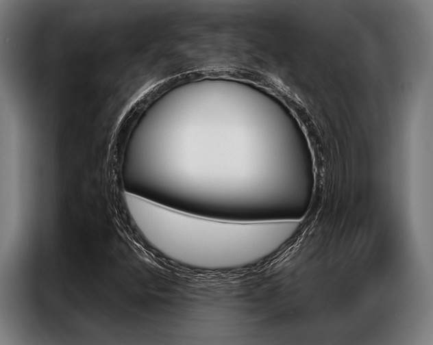 X0000087311400200704200708