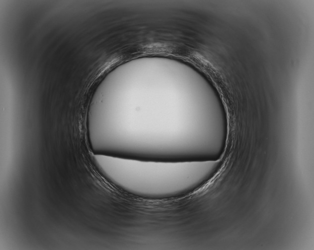 X0000087311401200704200708