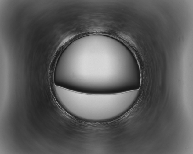 X0000087311404200704200708