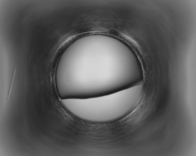 X0000087311407200704200708