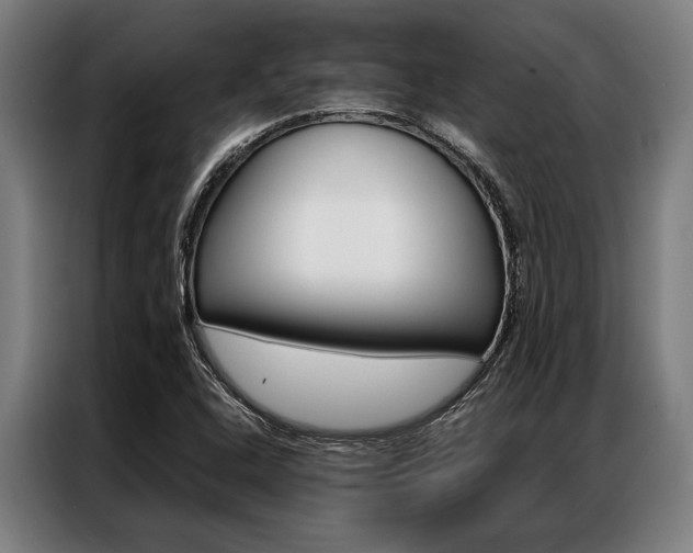 X0000087311408200704200708