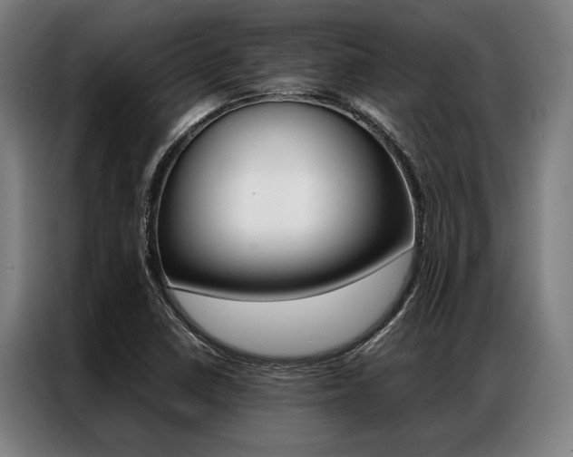 X0000087311410200704200708