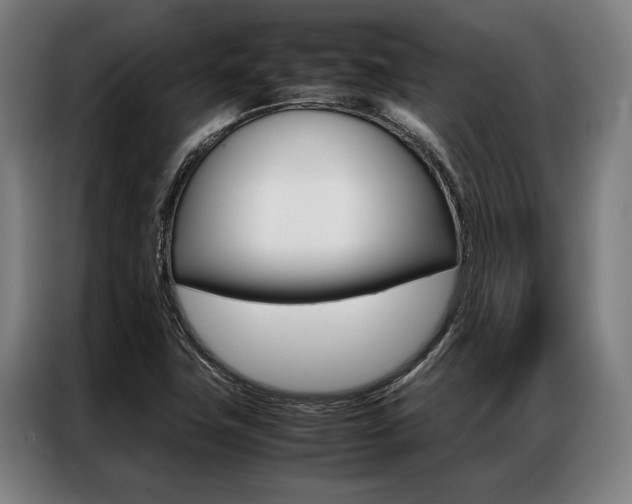 X0000087311411200704200708