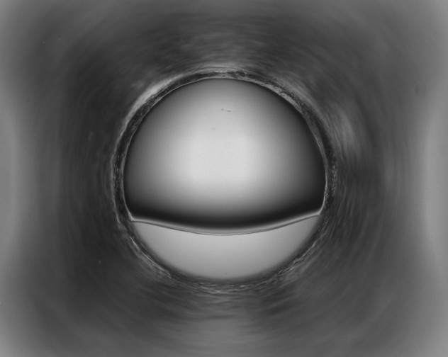 X0000087311412200704200708