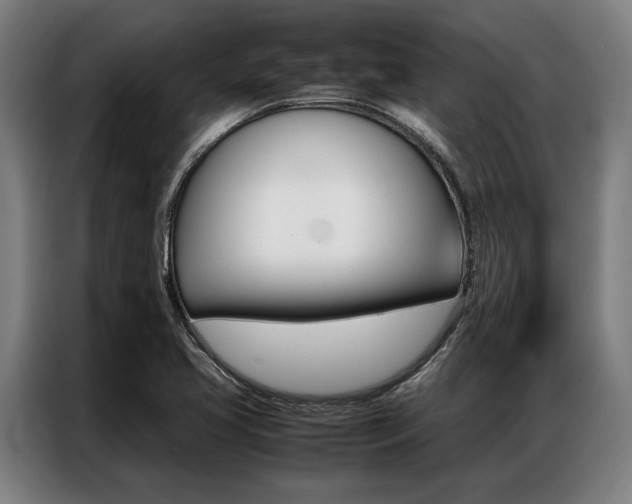 X0000087311413200704200708