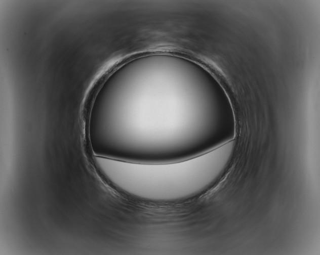 X0000087311414200704200708
