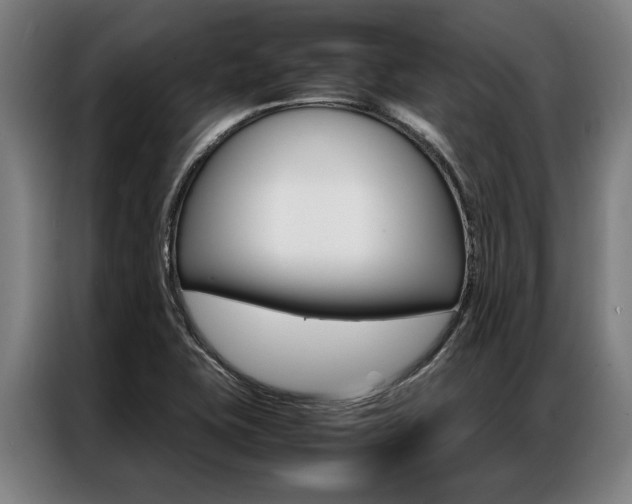 X0000087311415200704200708