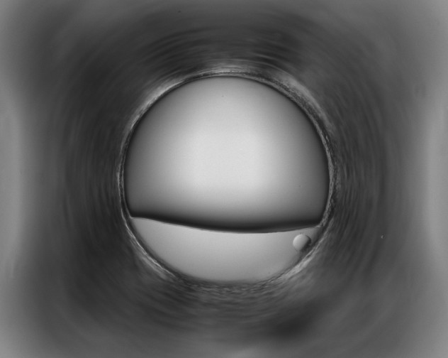 X0000087311417200704200708