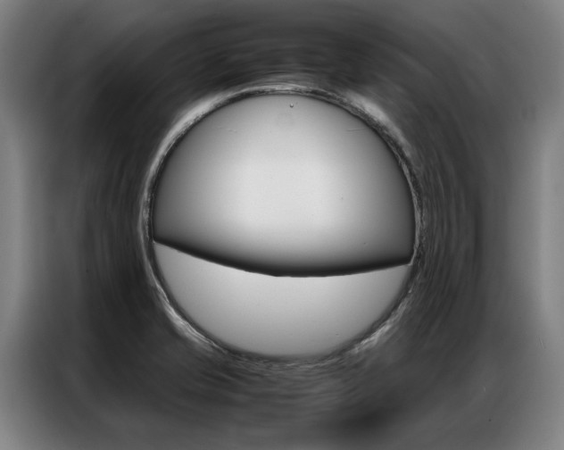 X0000087311421200704200708