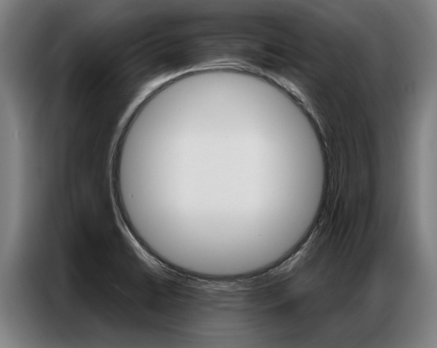 X0000087311422200704200708
