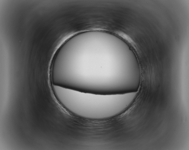 X0000087311423200704200708