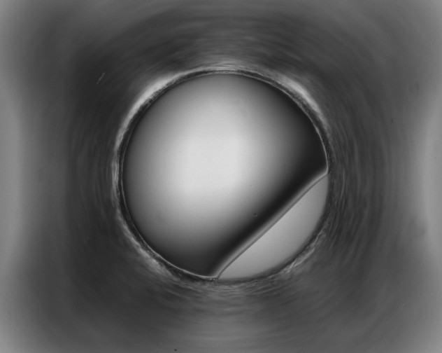 X0000087311424200704200708